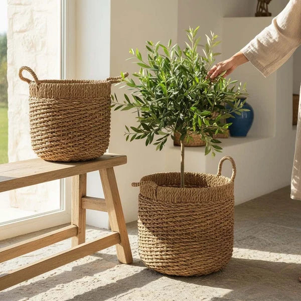 Ashwari Basket