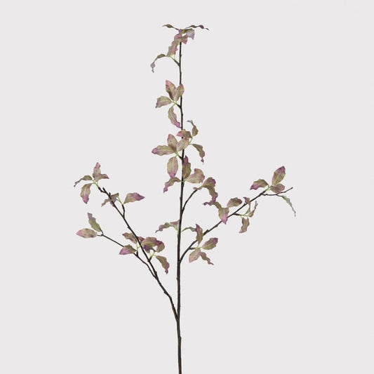 Variegated Pittosporum Faux Stem | 80cm | Realistic Faux Botanicals