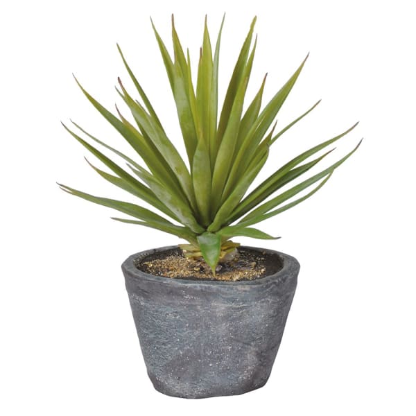 Faux Spiky Air Plant in Pot | H20cm | Realistic Indoor Botanicals