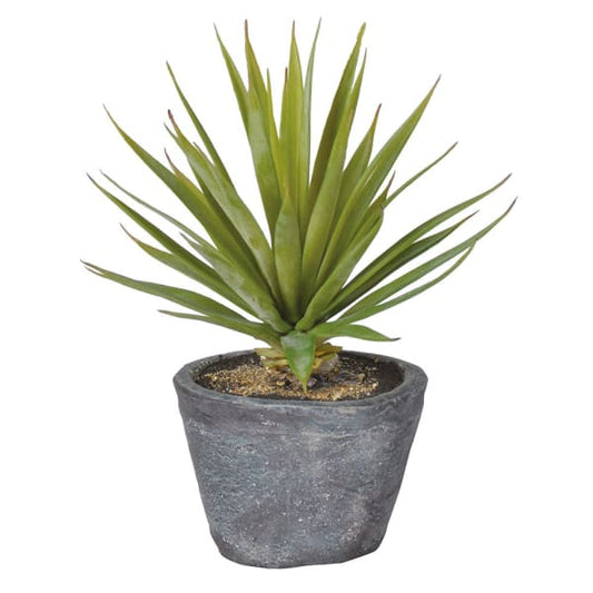 Faux Spiky Air Plant in Pot | H20cm | Realistic Indoor Botanicals